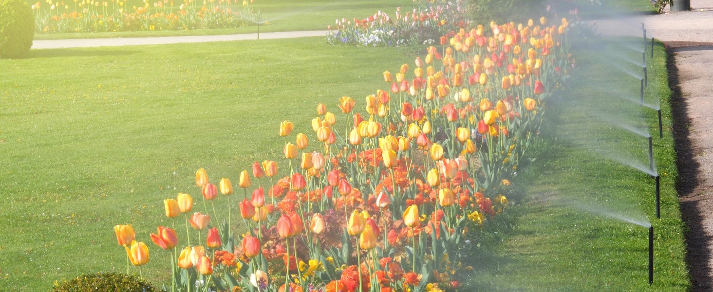 Flower Watering