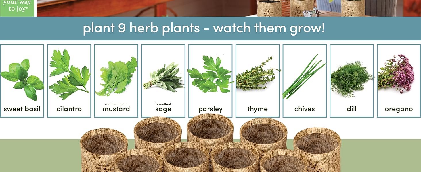 bestseller top-rated bundle of nine herbs to plant and grow