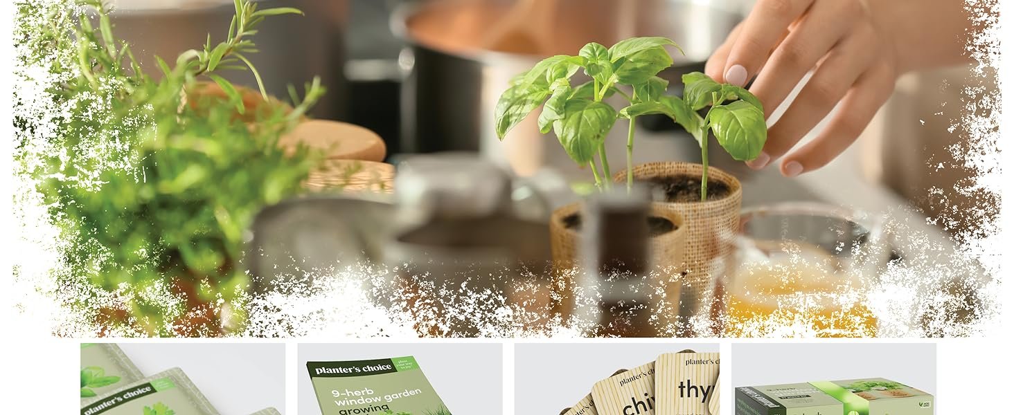 Organic Lightweight User-friendly Quick setup Time-saving kitchen plant grow