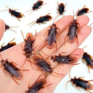 Wirrabilla Premium Fake Cockroaches, Pretty Realistic Fake Roaches, Great Way to Play a Prank, Faux Cockroaches Lifelike Creepy Perfect for Halloween Project, Tricking People, Kid Playing (15PCS)