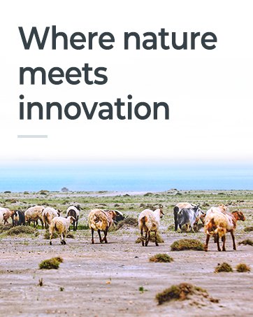 where nature meets innovation