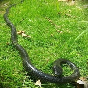 47 Inches Rubber Lifelike Snakes Scary Gag Gift Incredible Creatures Chain Snakes Rain Forest Snake Toys Wild Life Snakes