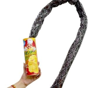 Blppldyci The Potato Chip Snake Can Jump Spring Toy Gift April Fool Day Halloween Party Decoration Jokes in A Gag Prank Large Size (Potato Chip Style)(1pcs)