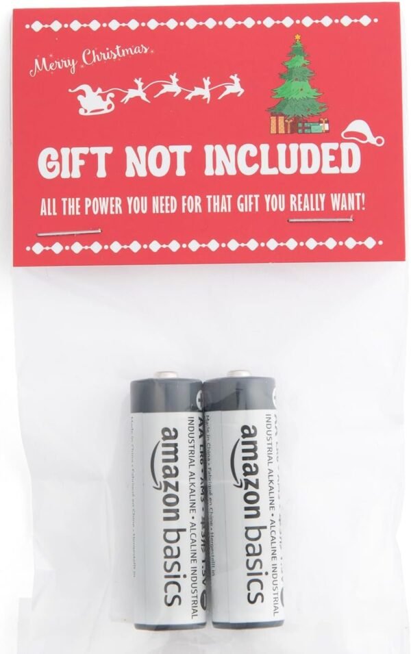 Gift Not Included Batteries Gag Gift - Funny Prank for Present Adults for Women Men - Stocking Stuffer for Him Her Boyfriend Girlfriend